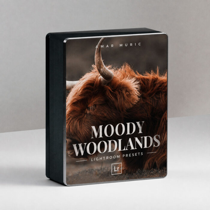 50,000 Lightroom presets for photo editing